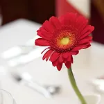 Filser Hotell Füssen